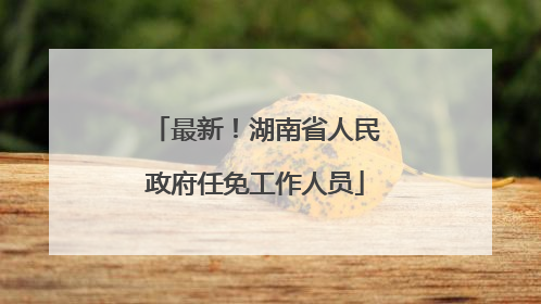 最新！湖南省人民政府任免工作人员