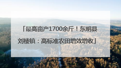 最高亩产1700余斤！东明县刘楼镇：高标准农田增效增收