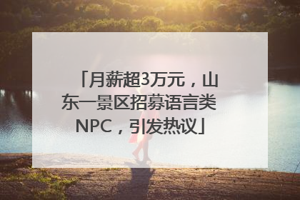 月薪超3万元，山东一景区招募语言类NPC，引发热议