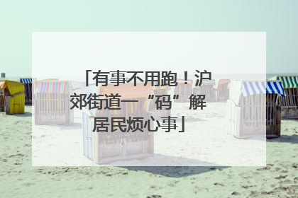 有事不用跑！沪郊街道一“码”解居民烦心事