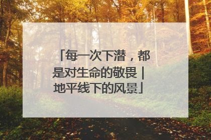 每一次下潜，都是对生命的敬畏｜地平线下的风景