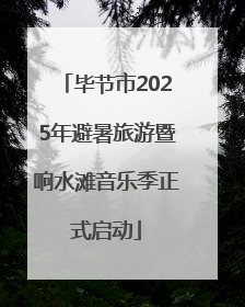 毕节市2025年避暑旅游暨响水滩音乐季正式启动