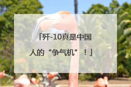 歼-10真是中国人的“争气机”！