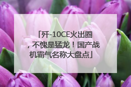 歼-10CE火出圈，不愧是猛龙！国产战机霸气名称大盘点