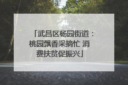 武昌区杨园街道：桃园飘香采摘忙 消费扶贫促振兴