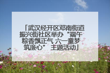 武汉经开区邓南街道振兴街社区举办“端午粽香飘正气 六一童梦筑廉心” 主题活动