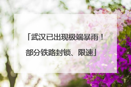 武汉已出现极端暴雨！部分铁路封锁、限速