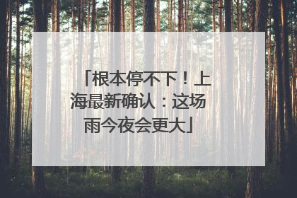 根本停不下！上海最新确认：这场雨今夜会更大