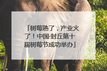 树莓熟了，产业火了！中国·封丘第十届树莓节成功举办