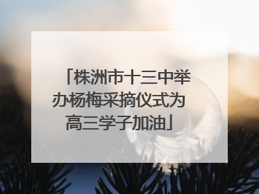 株洲市十三中举办杨梅采摘仪式为高三学子加油