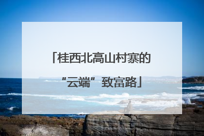 桂西北高山村寨的“云端”致富路