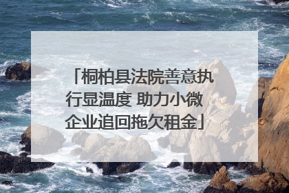 桐柏县法院善意执行显温度 助力小微企业追回拖欠租金