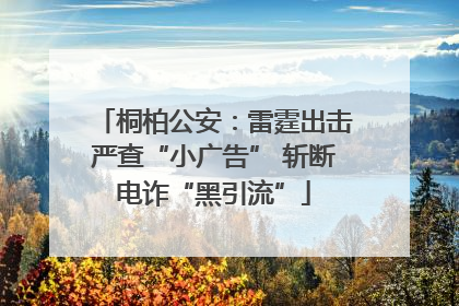 桐柏公安：雷霆出击严查“小广告” 斩断电诈“黑引流”