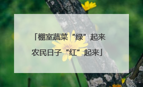 棚室蔬菜“绿”起来 农民日子“红”起来