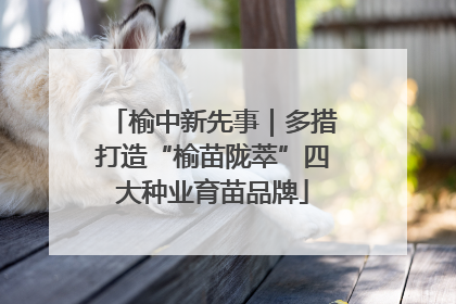 榆中新先事｜多措打造“榆苗陇萃”四大种业育苗品牌