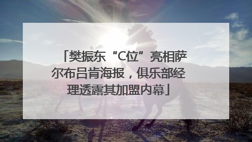 樊振东“C位”亮相萨尔布吕肯海报，俱乐部经理透露其加盟内幕