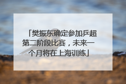 樊振东确定参加乒超第二阶段比赛，未来一个月将在上海训练