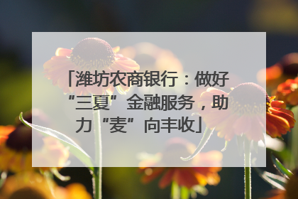 潍坊农商银行：做好“三夏”金融服务，助力“麦”向丰收