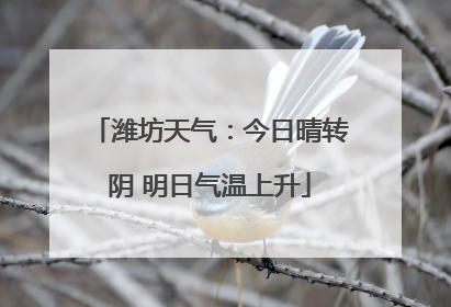 潍坊天气：今日晴转阴 明日气温上升