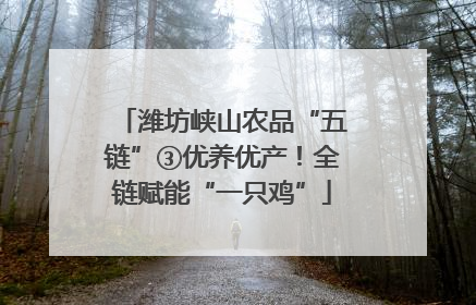 潍坊峡山农品“五链”③优养优产！全链赋能“一只鸡”