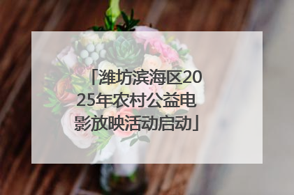 潍坊滨海区2025年农村公益电影放映活动启动
