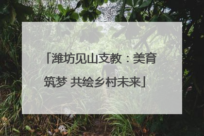 潍坊见山支教：美育筑梦 共绘乡村未来