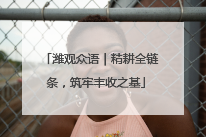 潍观众语｜精耕全链条，筑牢丰收之基
