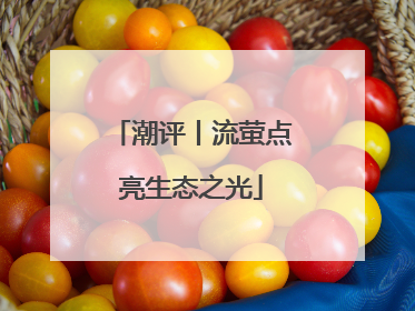 潮评丨流萤点亮生态之光