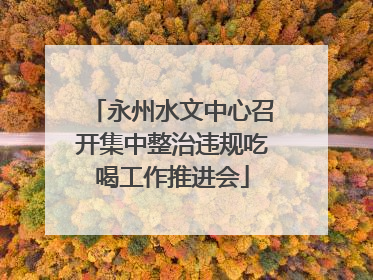 永州水文中心召开集中整治违规吃喝工作推进会