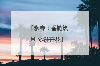 永春：香链筑基 多链开花