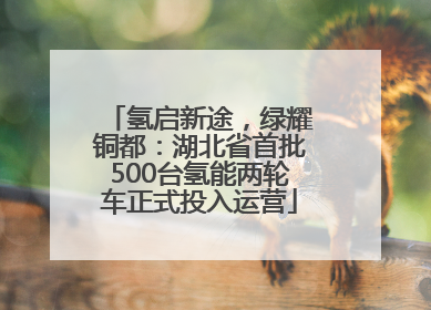 氢启新途，绿耀铜都：湖北省首批500台氢能两轮车正式投入运营