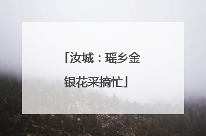 汝城：瑶乡金银花采摘忙