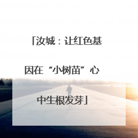 汝城：让红色基因在“小树苗”心中生根发芽