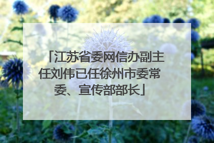 江苏省委网信办副主任刘伟已任徐州市委常委、宣传部部长