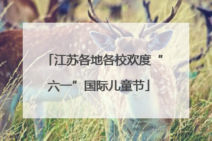 江苏各地各校欢度“六一”国际儿童节
