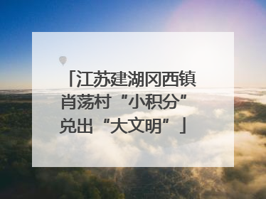 江苏建湖冈西镇肖荡村“小积分”兑出“大文明”