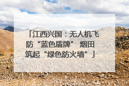 江西兴国：无人机飞防“蓝色盾牌” 烟田筑起“绿色防火墙”