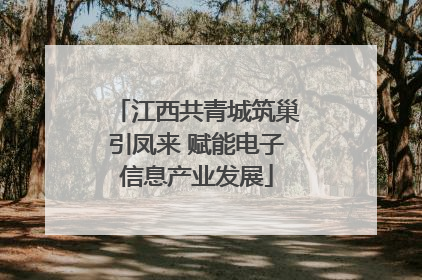 江西共青城筑巢引凤来 赋能电子信息产业发展