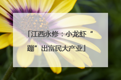 江西永修：小龙虾“蹦”出富民大产业