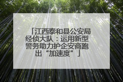 江西泰和县公安局经侦大队：运用新型警务助力护企安商跑出“加速度”