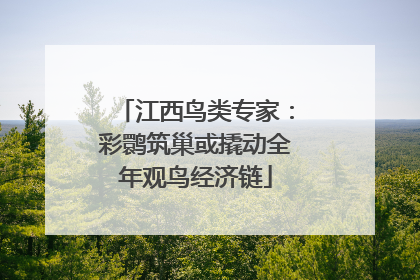 江西鸟类专家：彩鹮筑巢或撬动全年观鸟经济链