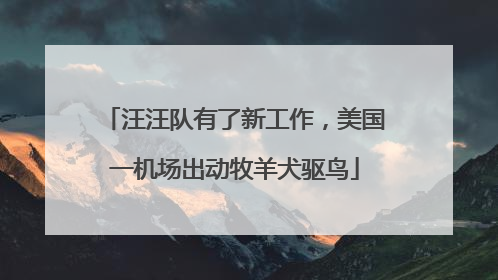 汪汪队有了新工作，美国一机场出动牧羊犬驱鸟