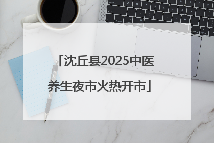 沈丘县2025中医养生夜市火热开市