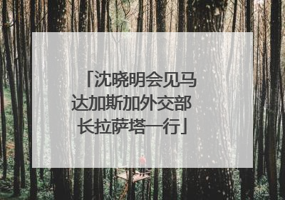 沈晓明会见马达加斯加外交部长拉萨塔一行