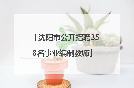 沈阳市公开招聘358名事业编制教师