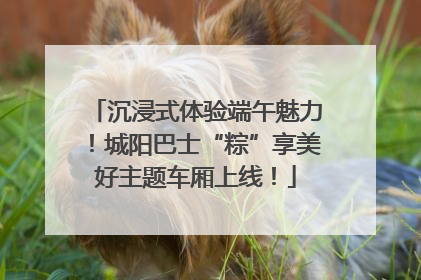 沉浸式体验端午魅力！城阳巴士“粽”享美好主题车厢上线！