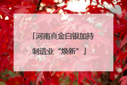 河南真金白银加持制造业“焕新”