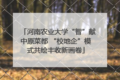 河南农业大学“智”献中原菜都 “校地企”模式共绘丰收新画卷