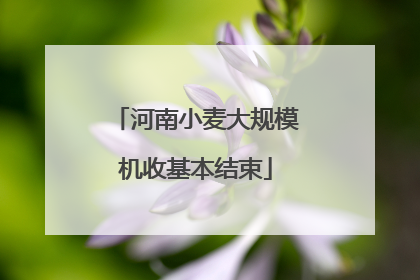 河南小麦大规模机收基本结束