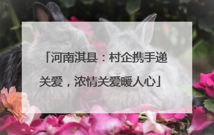 河南淇县：村企携手递关爱，浓情关爱暖人心